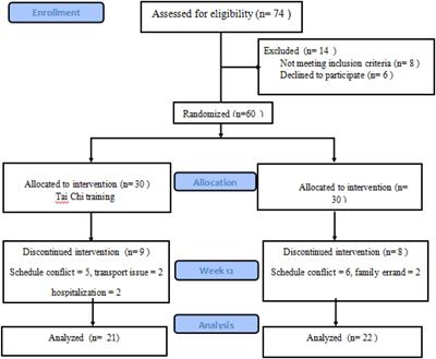 The Differential Effects of Tai Chi vs. Brisk Walking on Cognitive Function Among Individuals Aged 60 and Greater